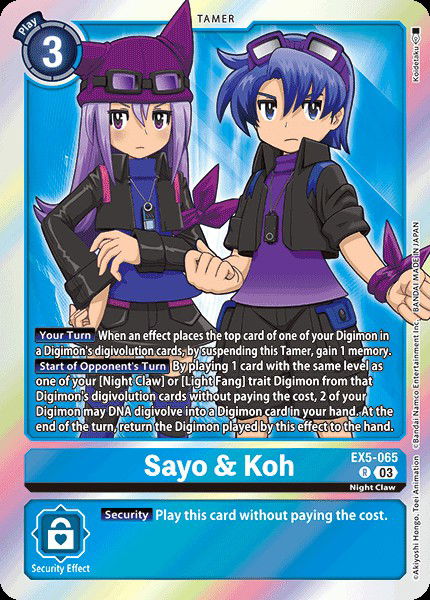 Sayo & Koh EX5-065 Crop image Wallpaper