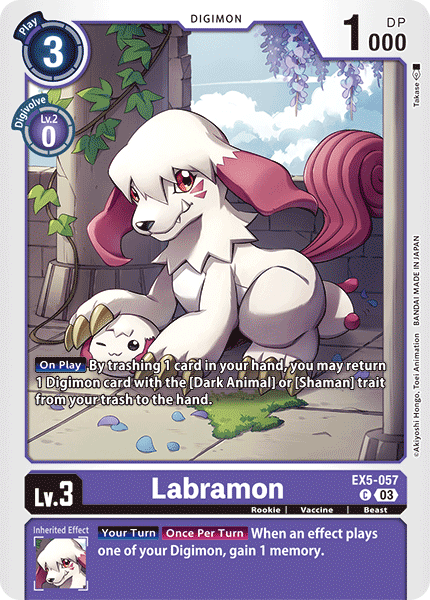 Labramon EX5-057 Full hd image