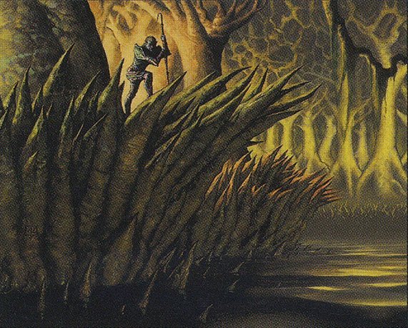 Elven Palisade Crop image Wallpaper