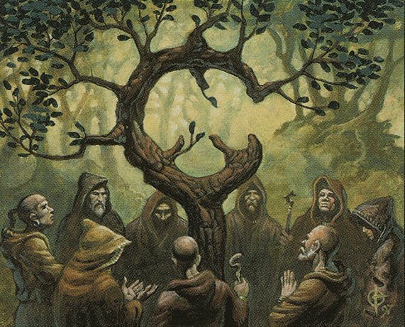 Oath of Druids Crop image Wallpaper