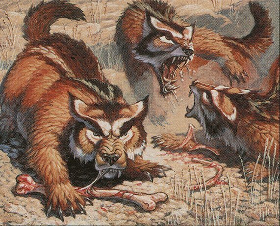 Rabid Wolverines Crop image Wallpaper