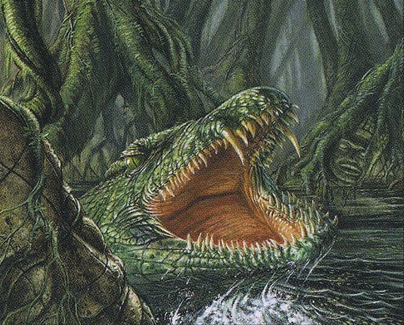 Rootwater Alligator Crop image Wallpaper