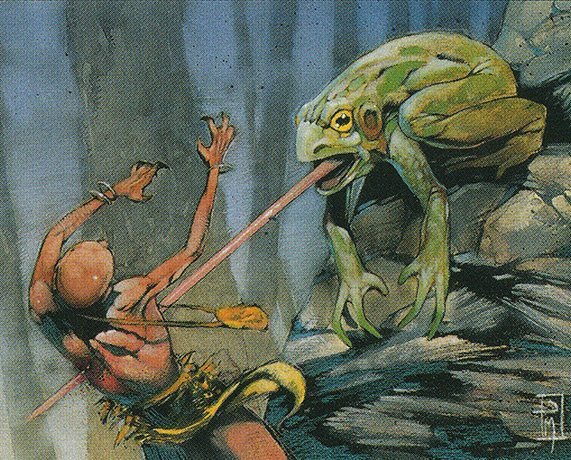 Whiptongue Frog Crop image Wallpaper
