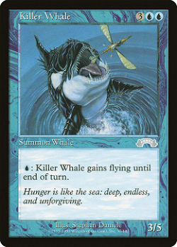 Killer Whale image