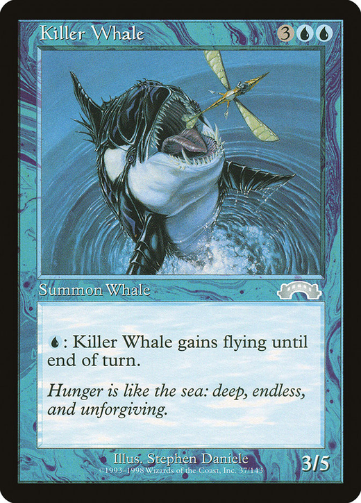 Killer Whale Full hd image