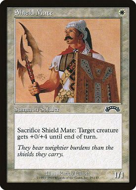 Shield Mate image