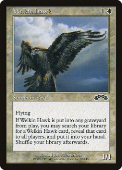Welkin Hawk - Небесный Ястреб image