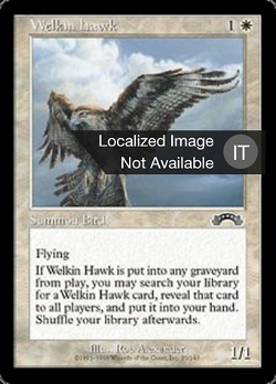 Falco Welkin image