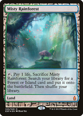 Misty Rainforest image