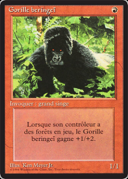 Gorille beringeï image