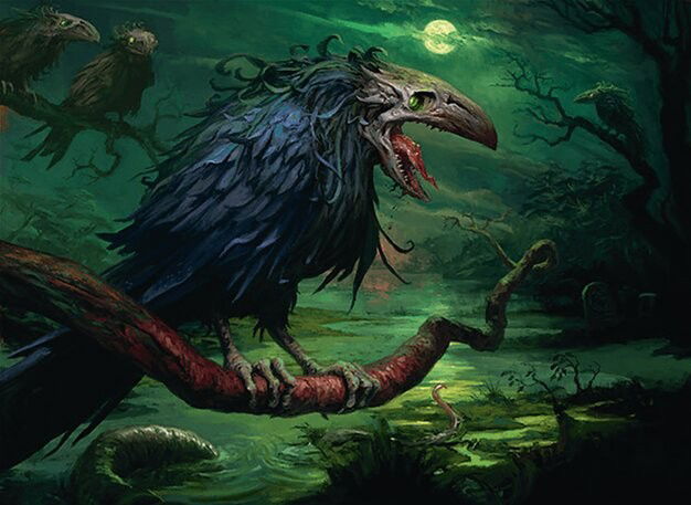 Crow of Dark Tidings Crop image Wallpaper