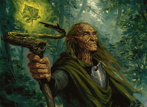 Elvish Archdruid Crop image Wallpaper