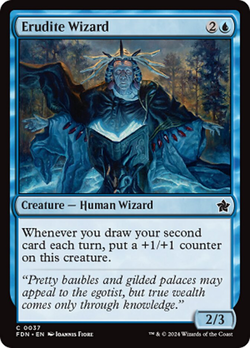 Erudite Wizard image