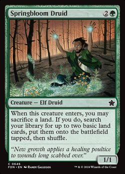 Springbloom Druid image