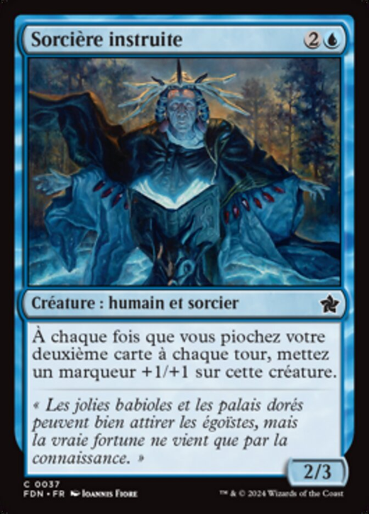 Erudite Wizard Full hd image