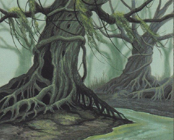 Hollow Trees Crop image Wallpaper