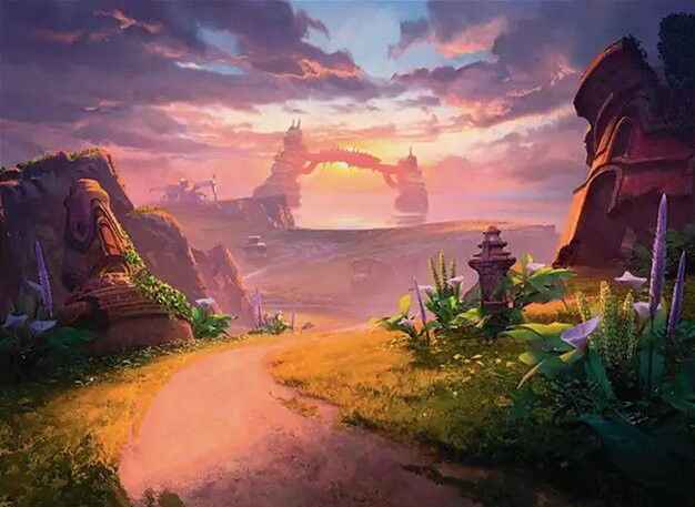 Sunpetal Grove Crop image Wallpaper