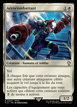 Aérocombattant image