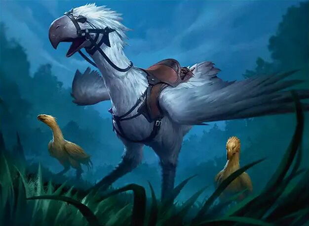 Ambrosia Whiteheart Crop image Wallpaper