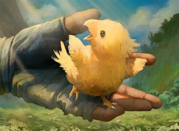 Sazh's Chocobo Crop image Wallpaper