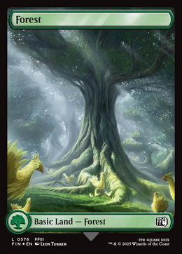 Card image in hand
