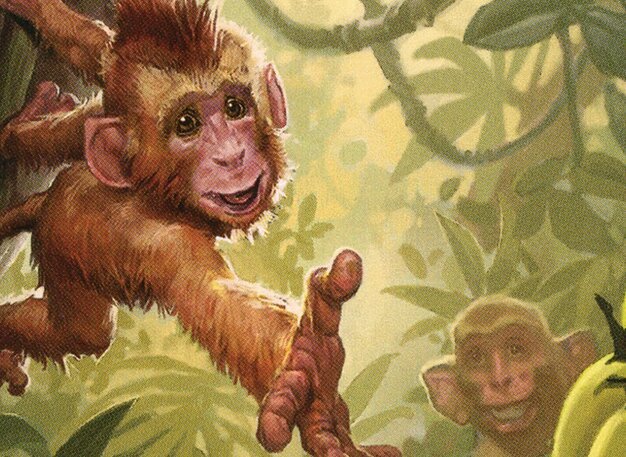 Primates Card Crop image Wallpaper
