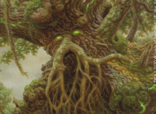 Tree-Hugging Card Crop image Wallpaper