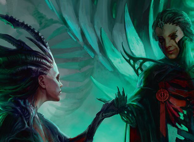 Expendable Card Crop image Wallpaper