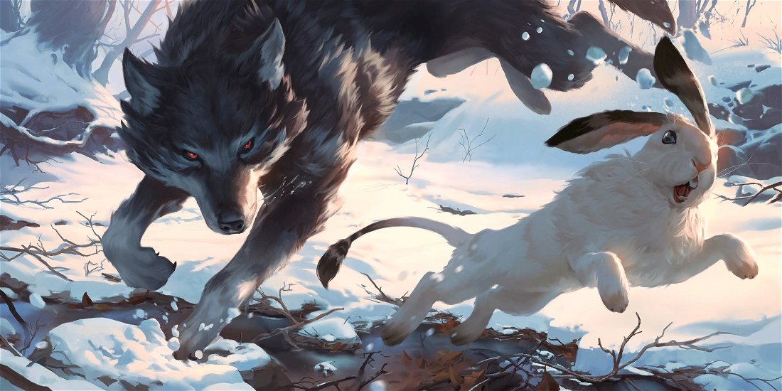 Stalking Wolf Crop image Wallpaper