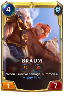 Braum final level image