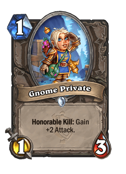 Gnome Private image