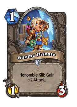 Gnome Private image
