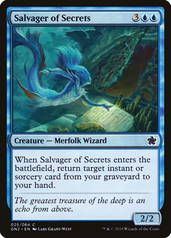 Salvager of Secrets image