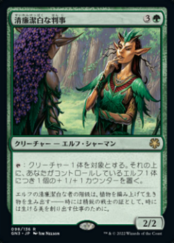 Immaculate Magistrate image