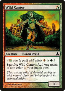Wild Cantor image