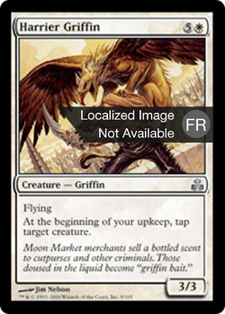 Griffon busard image