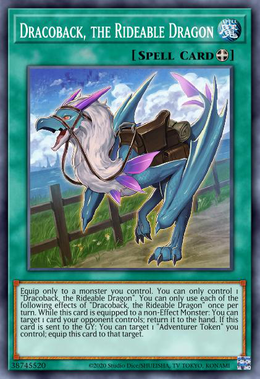 Card image in hand