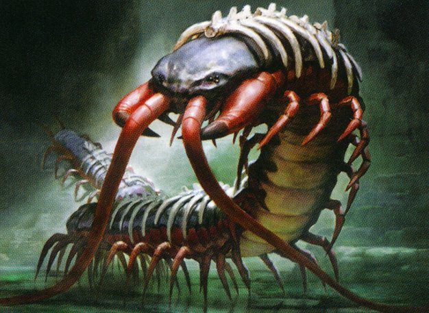 Spinal Centipede Crop image Wallpaper