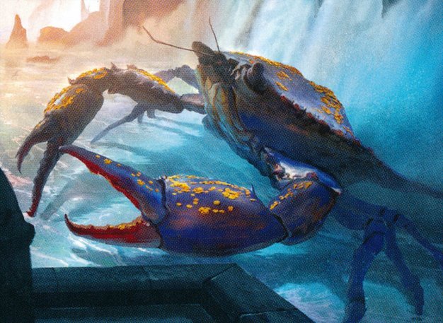 Wishcoin Crab Crop image Wallpaper