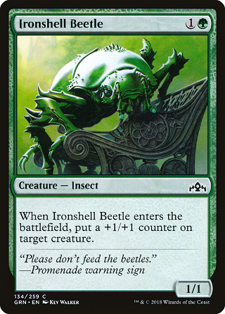 Ironshell Beetle image