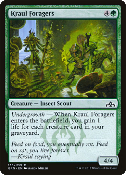 Kraul Foragers image