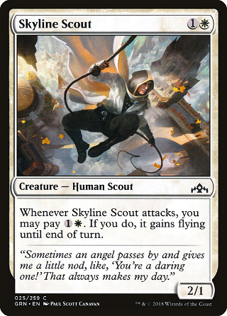 Skyline Scout image