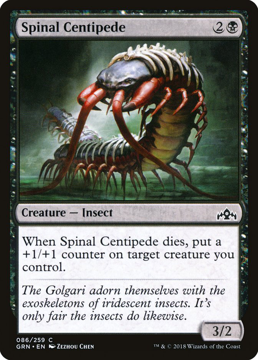 Spinal Centipede Full hd image