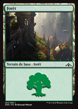 Forêt