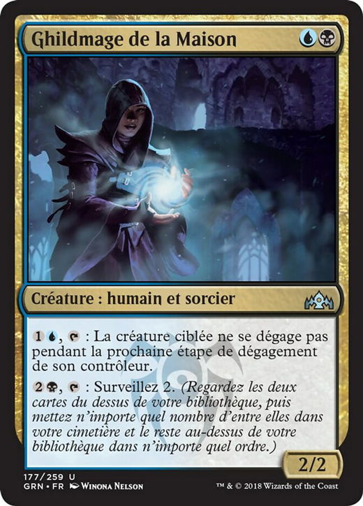 House Guildmage Full hd image