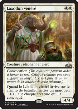 Loxodon vénéré