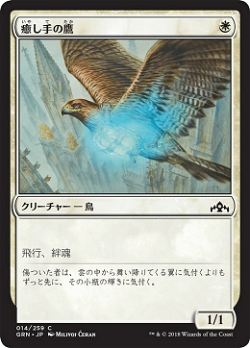 癒し手の鷹 image