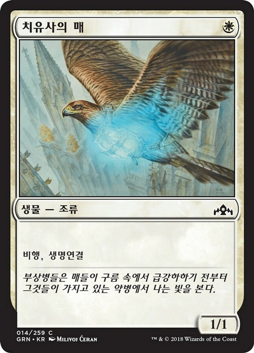 Healer's Hawk Full hd image