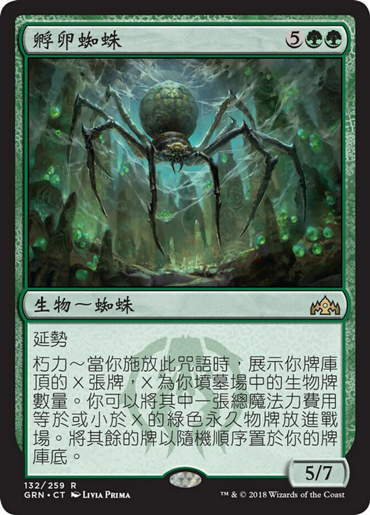 Hatchery Spider Full hd image