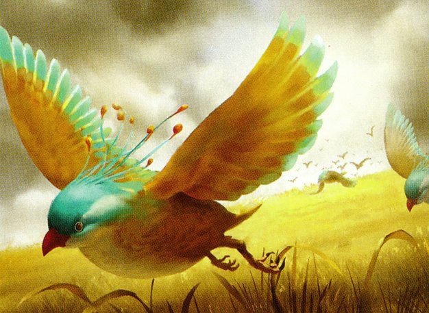 Colorful Feiyi Sparrow Crop image Wallpaper